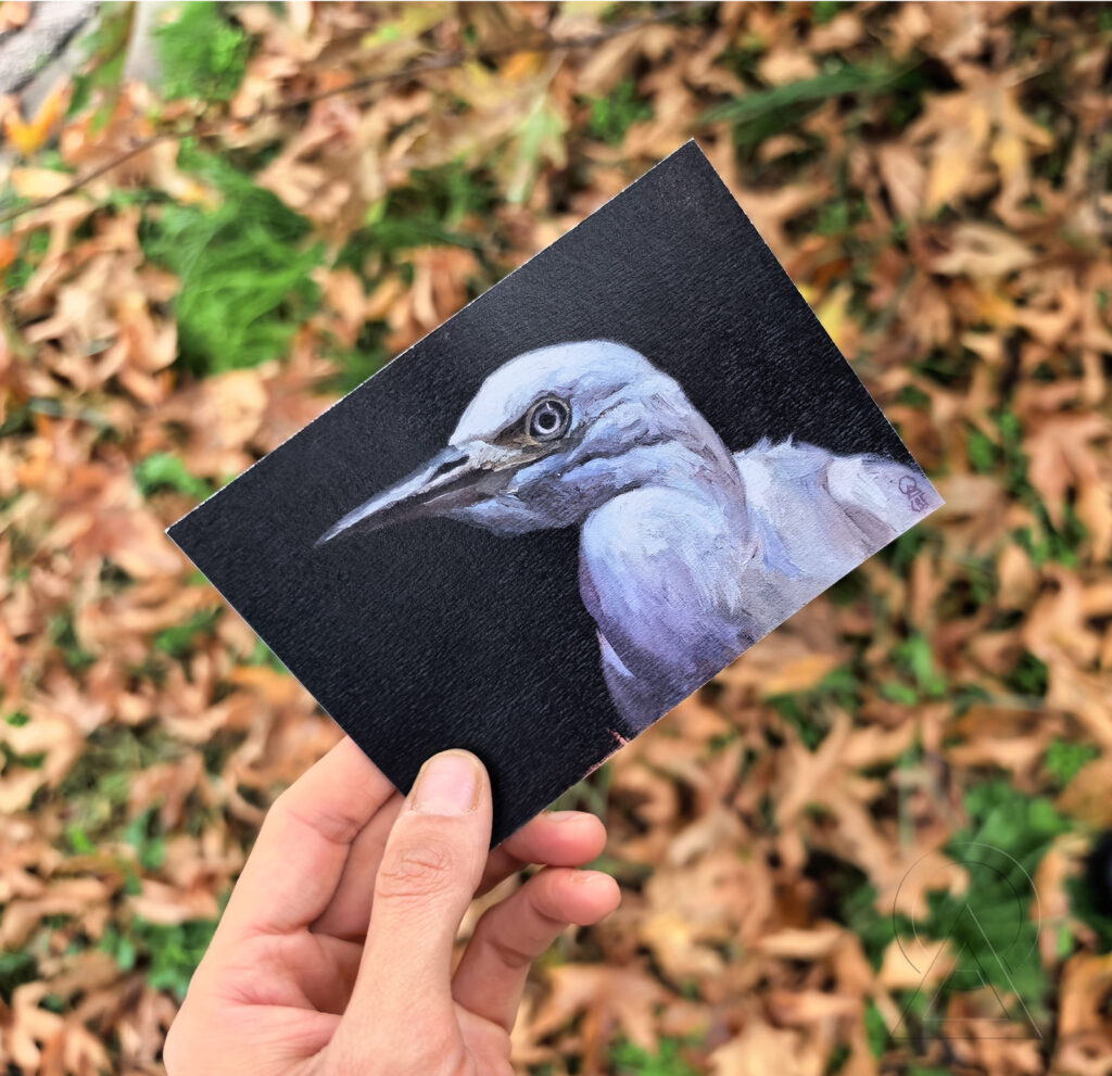 Картичка бяла чапла, art print egret, egret card