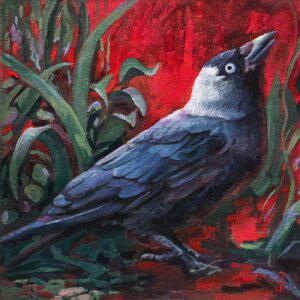 jackdaw painting with a vibrant red background by stanislava varbanova, bird artist, станислава върбанова, маслена живопис, чавка, гарга