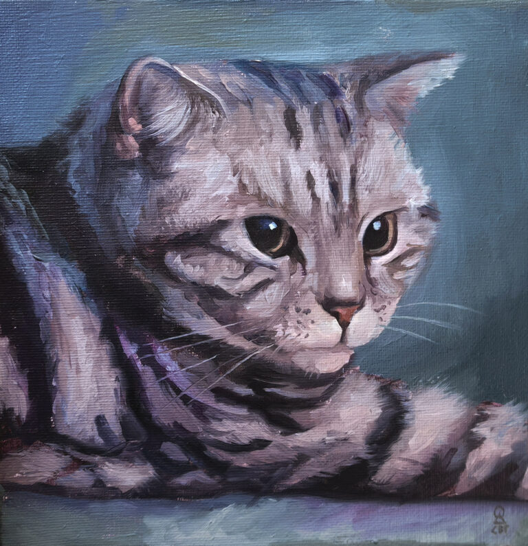cat portrait, портрет котка