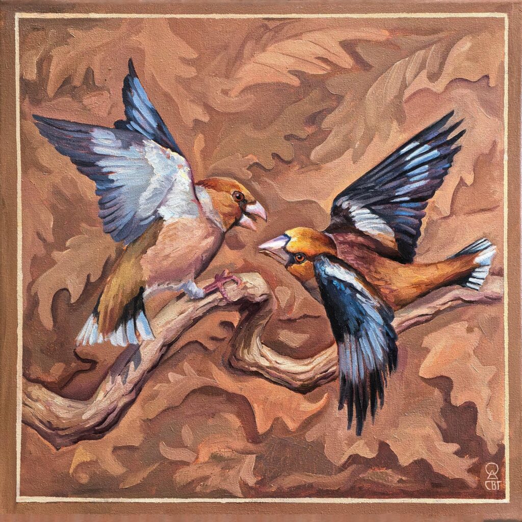 hawfinches oil painting, маслена картина с черешарки, картина с птици от станислава върбанова, бъклгарска природа, wildlife artist, bird art, oil painting by stanislava varbanova